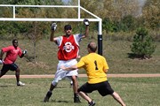OTFL Gallery Image